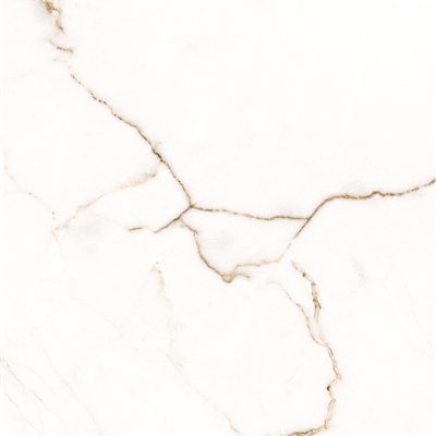 Calacatta Angelo 60x120